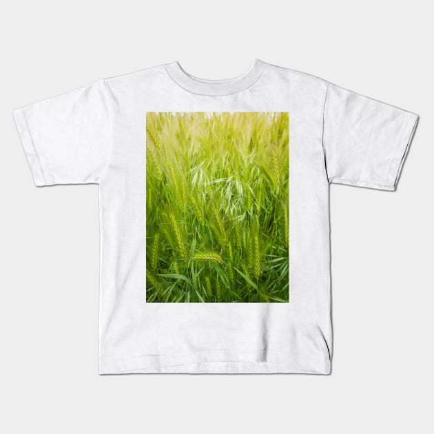 Blooming wild foxtail plants Kids T-Shirt by psychoshadow